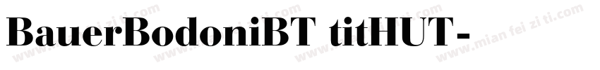 BauerBodoniBT titHUT字体转换